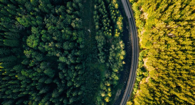 Climate Action in the Lead Up to COP26: Dirk Forrister and Brad Page in Conversation