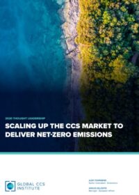 Scaling up the CCS Market to Deliver Net-Zero Emissions