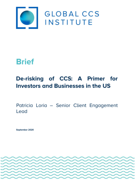 De-risking of CCS: A Primer for Investors and Businesses in the United States