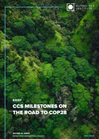CCS Milestones on the Road to COP28